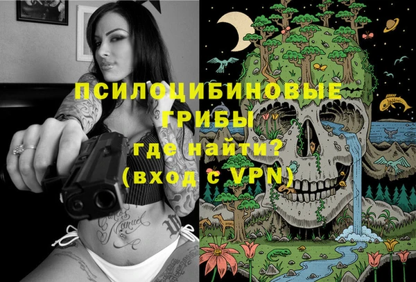мет Абаза