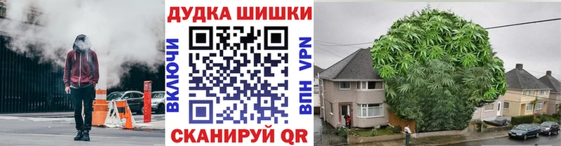 мега как зайти  где купить   Сольцы  Канабис индика 